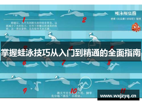 掌握蛙泳技巧从入门到精通的全面指南