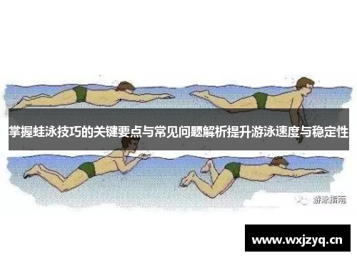 掌握蛙泳技巧的关键要点与常见问题解析提升游泳速度与稳定性