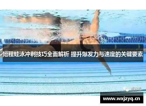 短程蛙泳冲刺技巧全面解析 提升爆发力与速度的关键要素