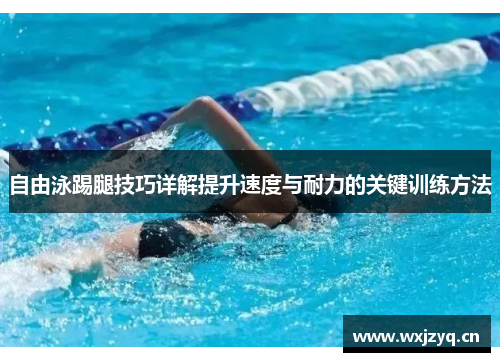 自由泳踢腿技巧详解提升速度与耐力的关键训练方法
