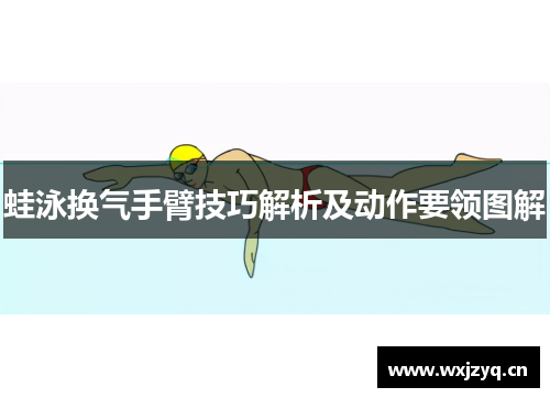 蛙泳换气手臂技巧解析及动作要领图解