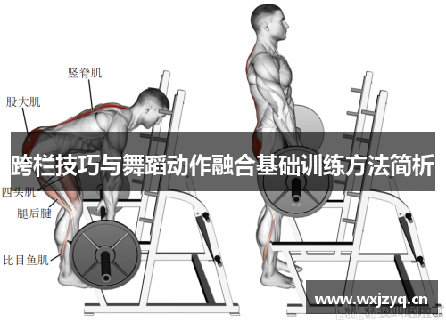 跨栏技巧与舞蹈动作融合基础训练方法简析